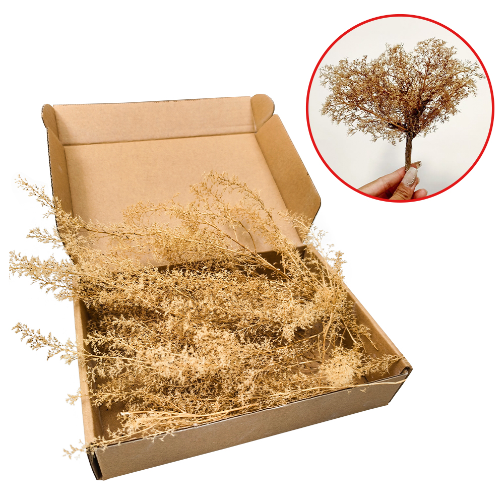 Model Kit Locomotive - Miniature Dry Grass Model Thorny Quinoa
