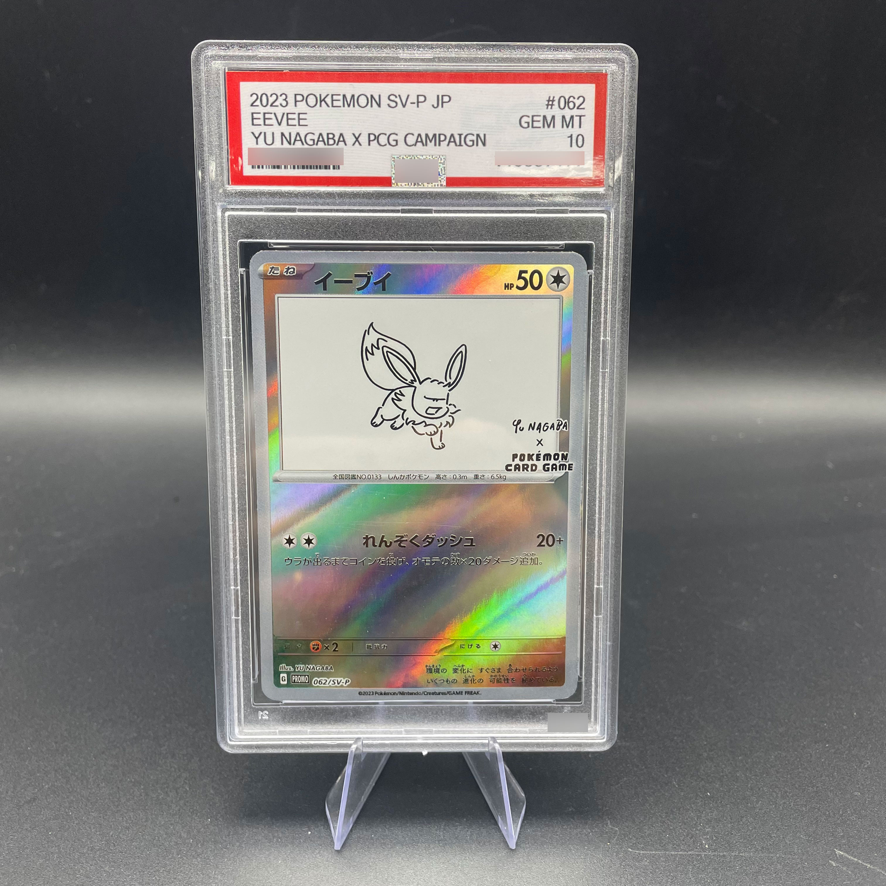 DIY Anime 2023 PTCG SV-P Japan - Model Kit Plastic บทวิจารณ์และราคา