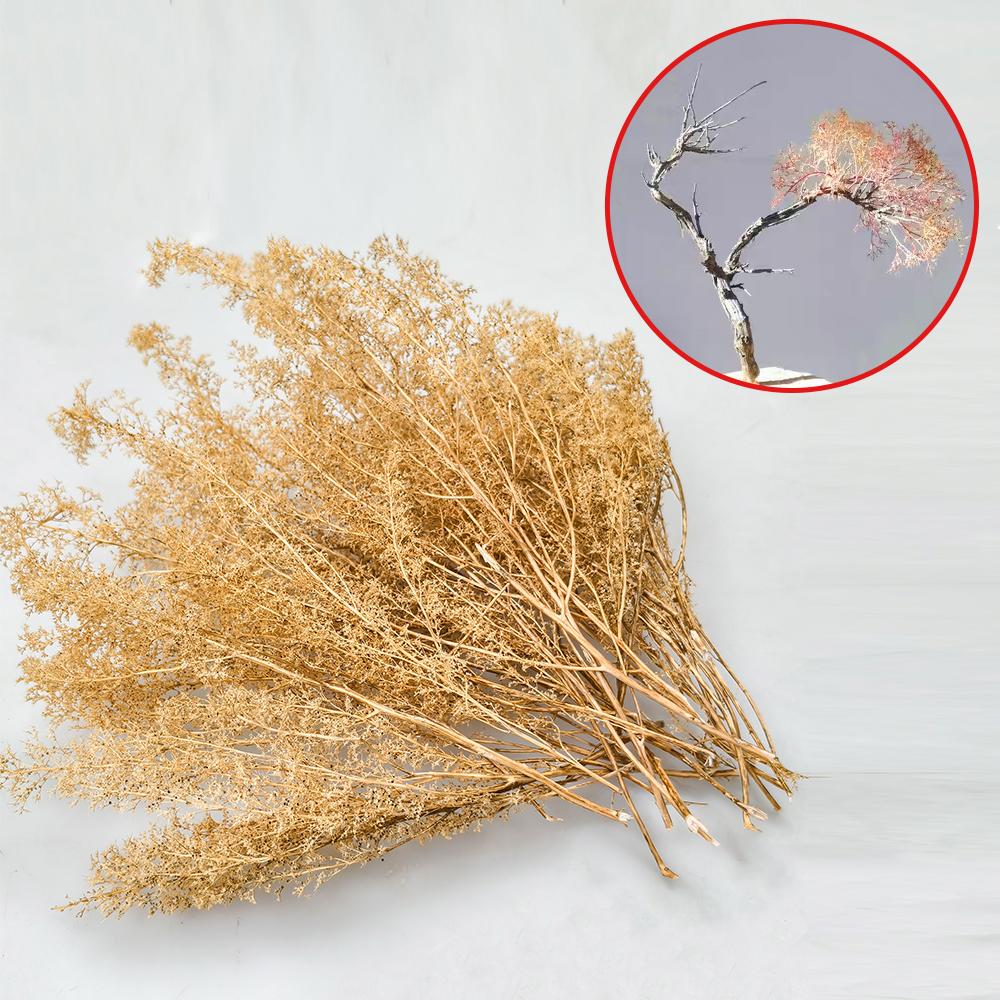 Miniature Dry Grass Model Thor - Model Kit Locomotive บทวิจารณ์และราคา