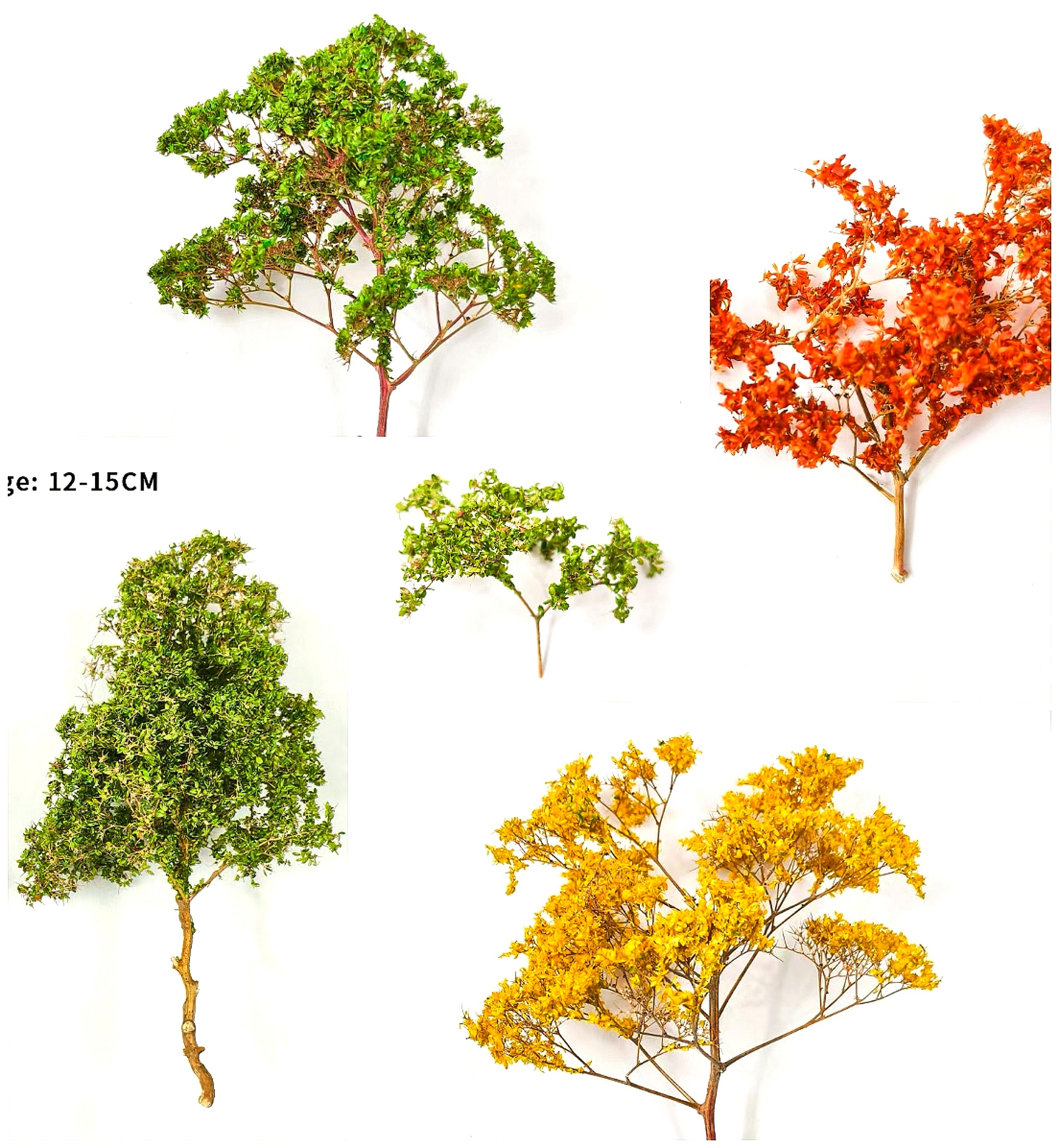 Miniature Dry Grass Model Thor - Model Kit Locomotive บทวิจารณ์และราคา