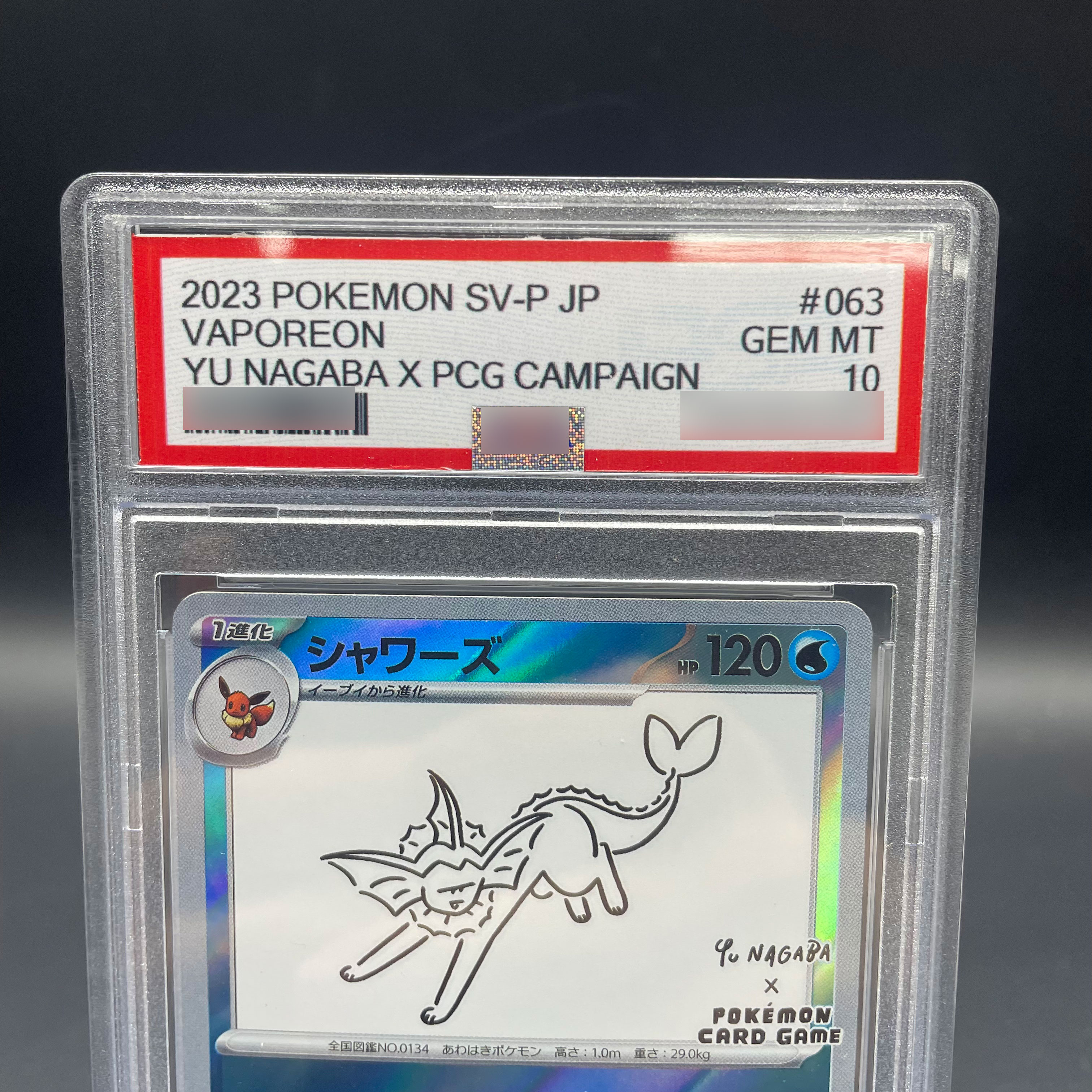 DIY Anime PTCG Self-made 2023  - Model Kit Plastic บทวิจารณ์และราคา